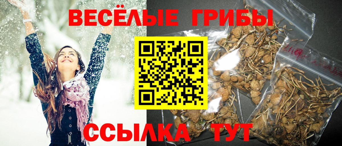 где продают   Галлюциногенные грибы MAGIC MUSHROOMS  Галлюциногенные грибы Psilocybine cubensis  Вход с VPN  Лобня 